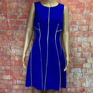 Debbie‎ Shuchat Contrast Inserts Fit & Flare Dress